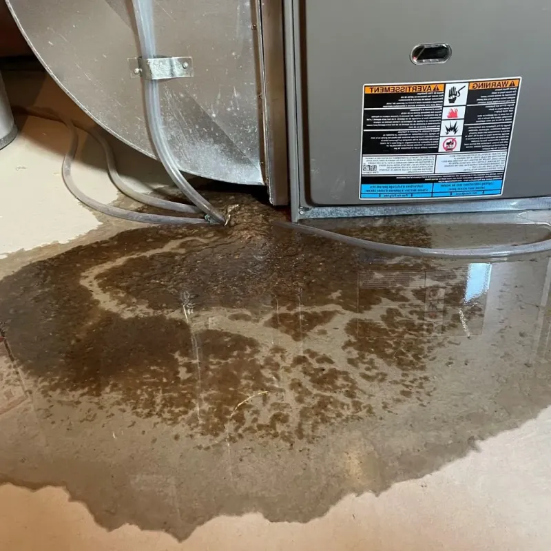 Pipe Burst and Leak Restoration in Reynoldsburg, OH