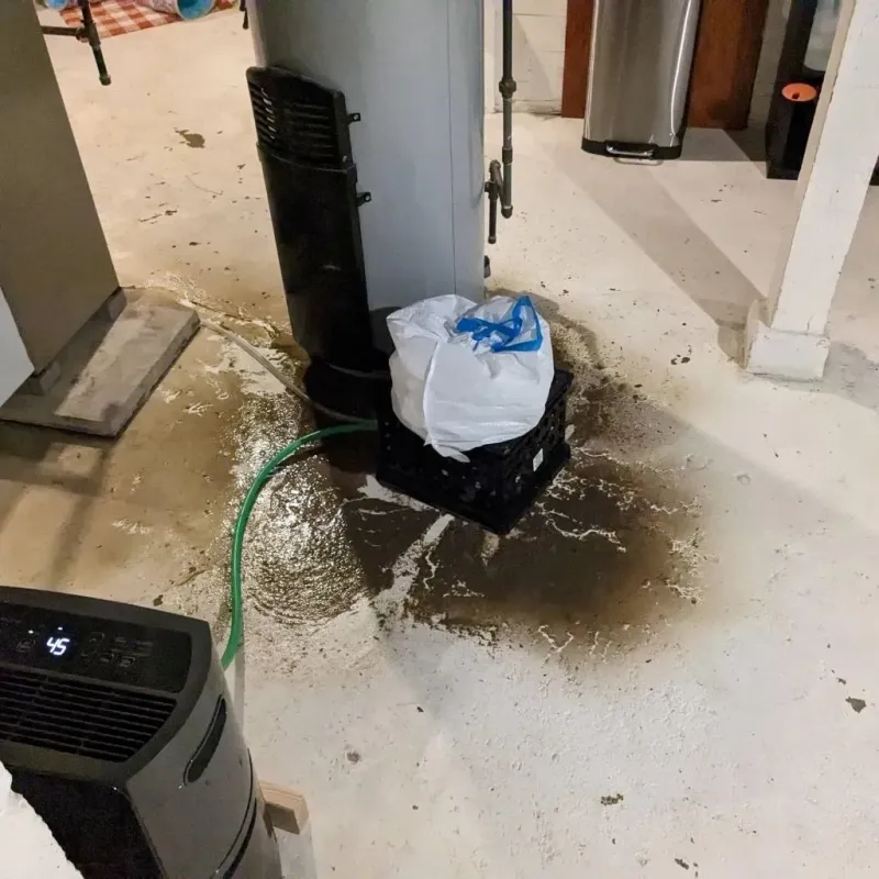 Sewage Backup Cleanup Service in Reynoldsburg, OH